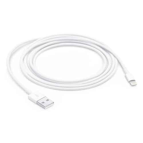Apple Lightning To USB Cable 2M MD819ZMA price in chennai